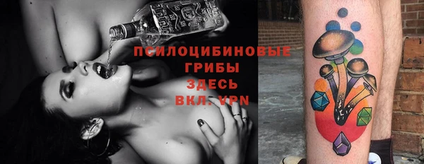 прущая мука Абаза