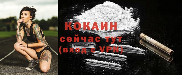 PSILOCYBIN Новокубанск